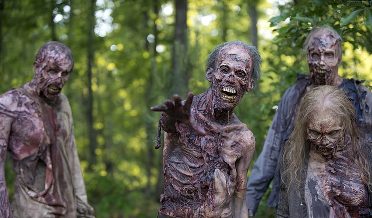 Best TV Series, post-apocalyptic, season 6, zombies, Walking Dead, HD wallpaper