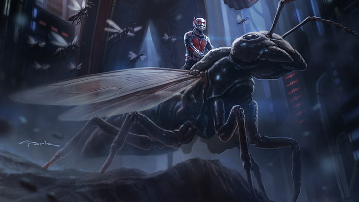 Antman and Wasp illustration, insecto, Ant-Man, películas, Marvel Cinematic Universe, Fondo de pantalla HD
