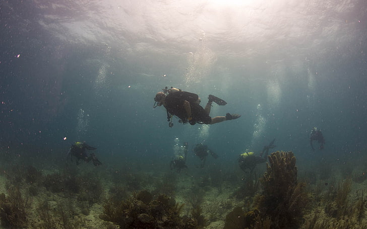 pair of men's black scuba flippers, underwater, group of people, divers, HD wallpaper