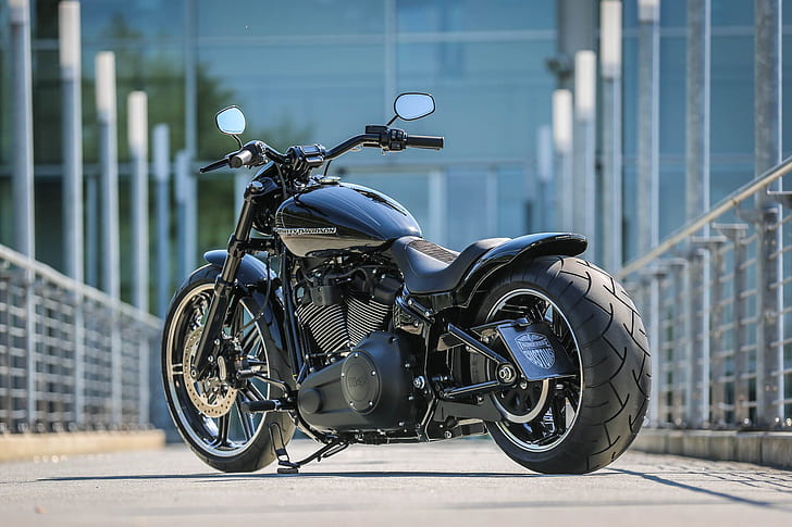 Motocicletas, Motocicleta Personalizada, Harley-Davidson, Alfândega Do Trovão, HD papel de parede