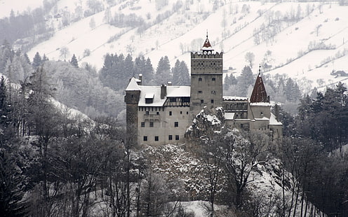 نخالة ، قلعة ، دراكولا 039 ق ، رومانيا ، ترانسيلفانيا، خلفية HD HD wallpaper