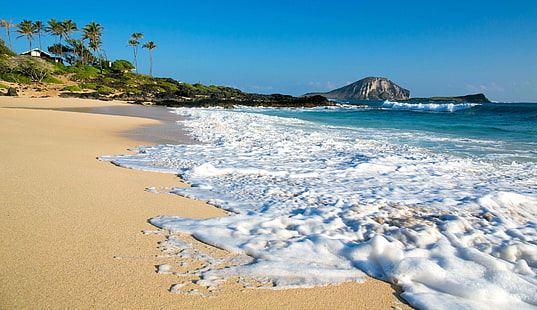 playa, hawaii, makapuu, oahu, oceano, pacifico, Fondo de pantalla HD HD wallpaper