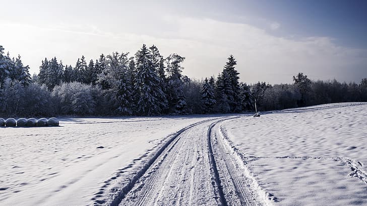 nature, landscape, trees, snow, winter, outdoors, tracks, sky, wide angle, clouds, HD wallpaper