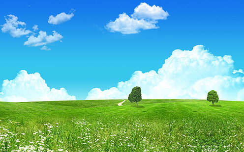 Lanskap Hijau Indah, bidang rumput hijau dan pepohonan, hijau, indah, lanskap, melamun dan fantasi, Wallpaper HD HD wallpaper