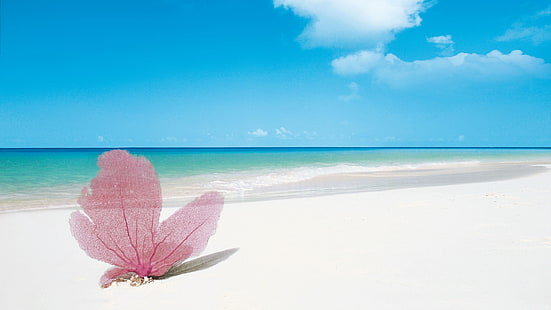 playa, strand, strand, hav, hav, himmel, moln, horisont, blå himmel, HD tapet HD wallpaper
