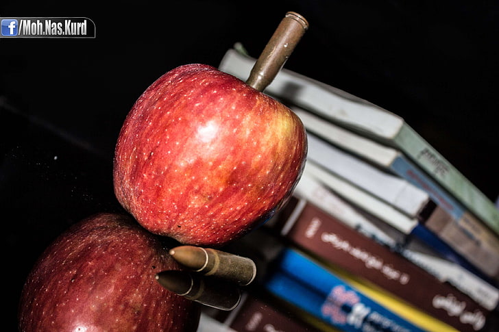 apple, beautiful, book, education, fight, iraq, kurdistan, peace, shot, HD wallpaper