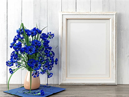 사진, 정물화, 파란 꽃, 수레 국화, 꽃, 꽃병, HD 배경 화면 HD wallpaper