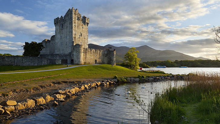сив бетонен замък, природа, пейзаж, архитектура, замък, кула, вода, облаци, дървета, Ирландия, хълмове, трева, пътека, камъни, река, езеро, кораб, лебед, гора, тухли, стена, HD тапет