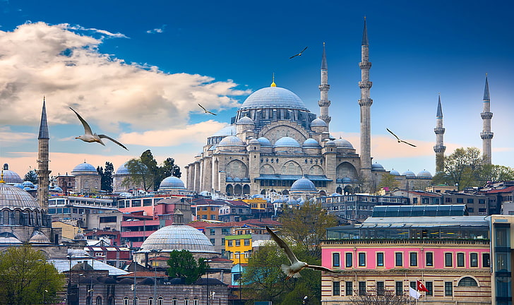 Illustrazione della cattedrale grigia e blu, il cielo, nuvole, uccelli, gabbiani, casa, torre, tempio, Istanbul, Turchia, la moschea blu, Sfondo HD