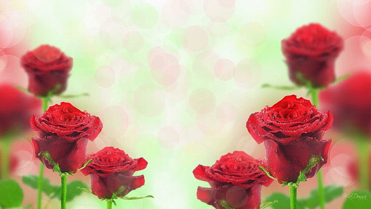 Roses Red, firefox persona, leaves, anniversary, flowers, love, valentines day, rose, bokeh, rain, 3d and abs, HD wallpaper