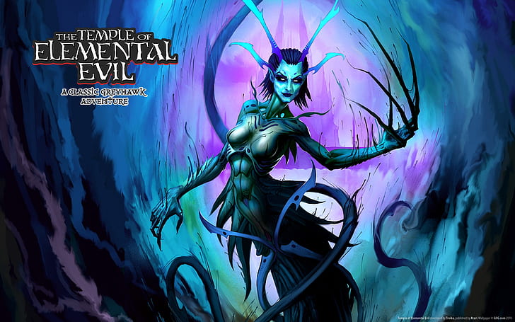 The Temple Of Elemental Evil Game, HD wallpaper