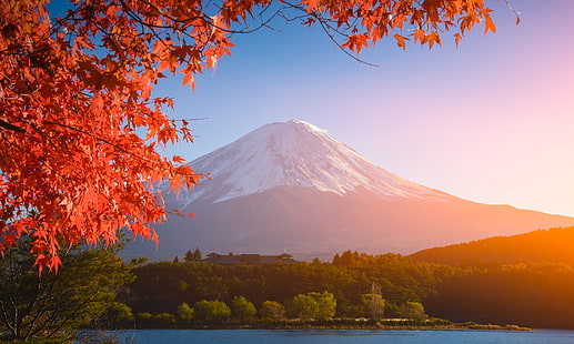  autumn, the sky, leaves, colorful, Japan, red, maple, mount Fuji, landscape, Fuji Mountain, HD wallpaper HD wallpaper