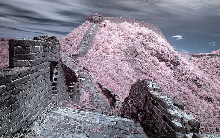 Tembok Besar Cina Tembok Merah Muda Cina HD, alam, merah muda, dinding, luar biasa, Cina, Wallpaper HD