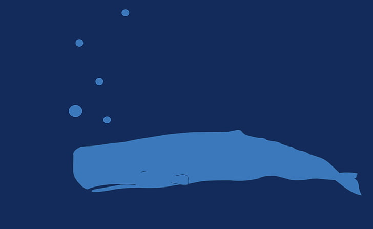 Desenho de baleia subaquática, ilustração de baleia, Aero, arte vetorial, subaquática, baleia, desenho animado, HD papel de parede