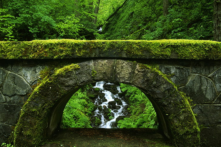 зеленый, мох, камни, мост, ручей, арка, лес, мокрая, скалы, HD обои