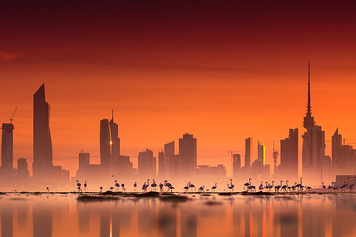 photography, water, sea, architecture, building, urban, city, cityscape, flamingos, skyscraper, sunset, HD wallpaper