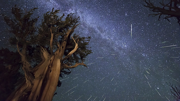 długo naświetlane zdjęcie Drogi Mlecznej, meteorów, perseidów, szczeciny, roju meteorów, Tapety HD