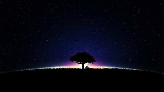 natt, gräs, himmel, stjärnor, träd, pojke och flicka, kärlek, natt, gräs, himmel, stjärnor, träd, pojke och flicka, HD tapet HD wallpaper