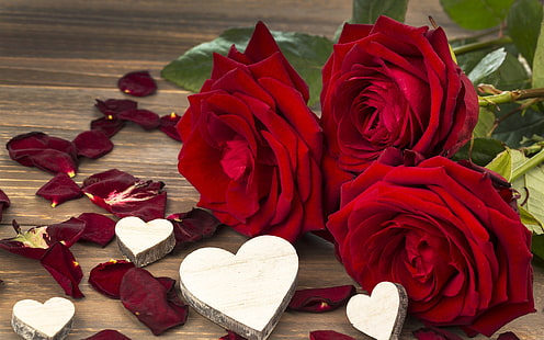 Red rose, flowers, love, Valentine's day, three red flowers, Red, Rose, Flowers, Love, Valentine, Day, HD wallpaper HD wallpaper