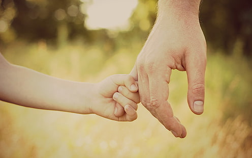 Perlindungan Anak Cinta Ayah, tangan seseorang, Festival / Liburan, Cinta, perawatan, hari ayah, perlindungan, Wallpaper HD HD wallpaper