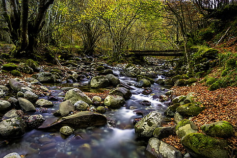 time lapse photography of river surrounded by stones, Explored, time lapse photography, river, stones, Lindes, Quirós, Asturias, Asturies, Bosque, Viesca, Autumn, nature, stream, forest, waterfall, tree, outdoors, rock - Object, landscape, scenics, water, beauty In Nature, flowing Water, HD wallpaper HD wallpaper