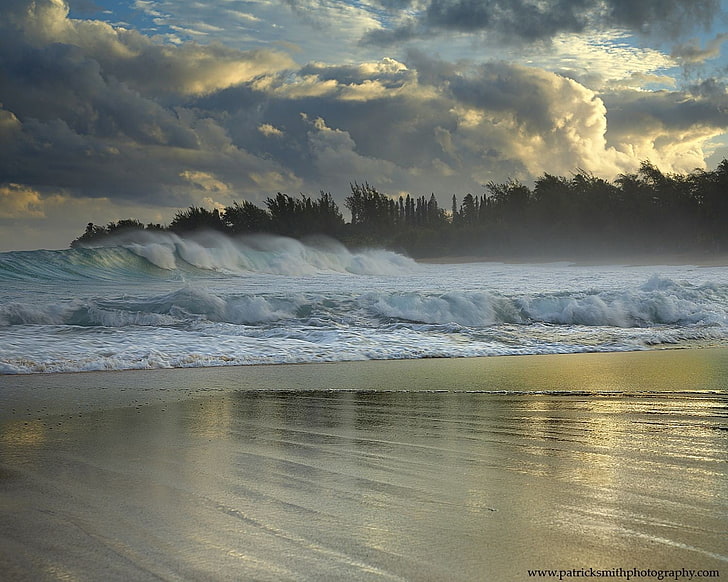blue seawave, nature, sea, beach, waves, clouds, trees, HD wallpaper