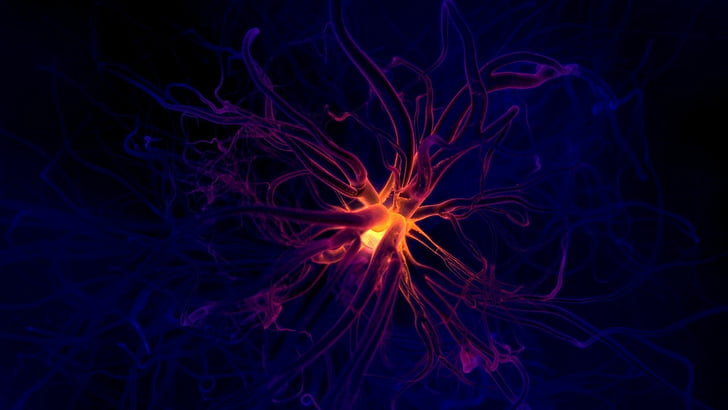 Künstlerisch, Neuron, HD-Hintergrundbild