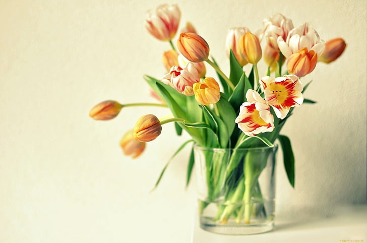 bouquet, flowers, orange, tulips, vase, HD wallpaper
