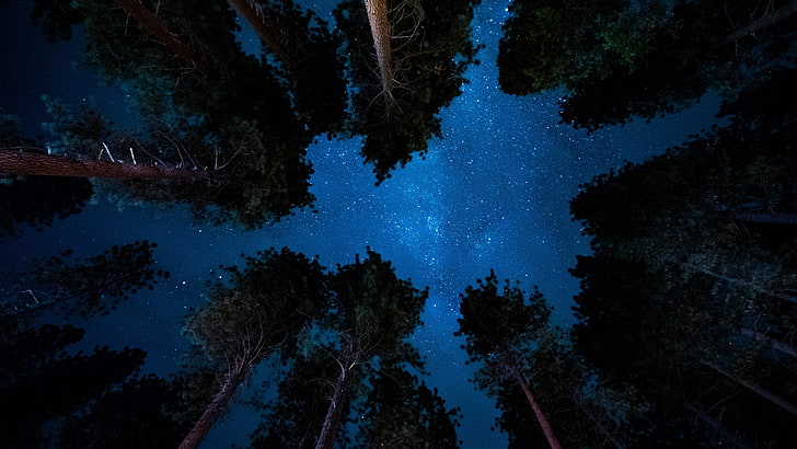 Himmel, Nacht, Sternenhimmel, Sternennacht, HD-Hintergrundbild