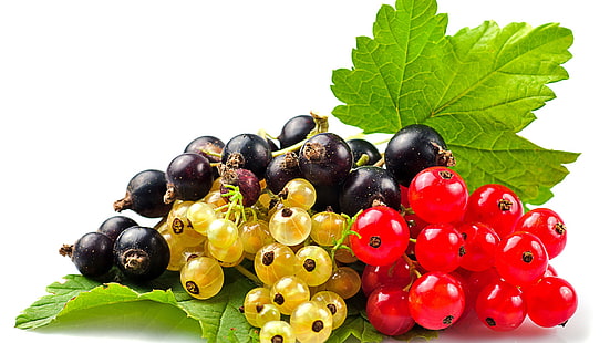 owoc, winogrono, jagoda, jedzenie, dojrzałe, słodkie, zdrowe, świeże, soczyste, dieta, deser, jagody, pęczek, odżywianie, organiczne, winogrona, wegetariańskie, ostrokrzew, liść, wino, witamina, rolnictwo, owoce, przekąska, pyszne, winnica, liście, jesień, lato, naturalne, świeżość, winorośl, zdrowie, roślina, jedzenie, jeść, sezonowe, blisko, żniwa, produkować, Tapety HD HD wallpaper