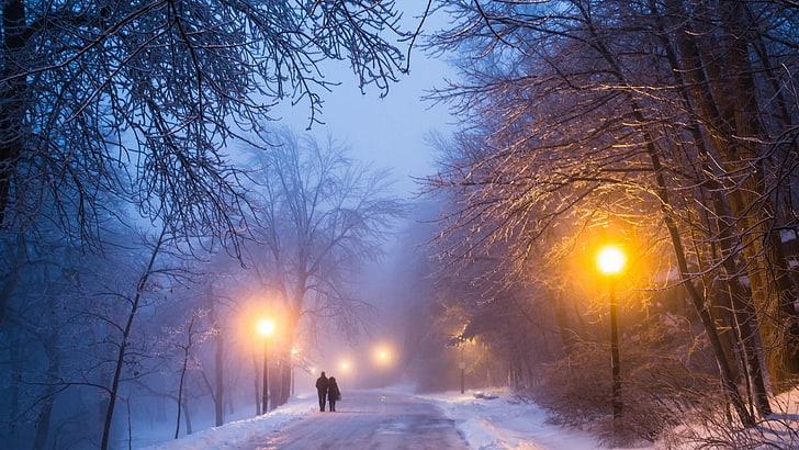 Nieve, invierno, naturaleza, cielo, congelación, árbol, rama, luz, luz de  la calle, Fondo de pantalla HD | Wallpaperbetter