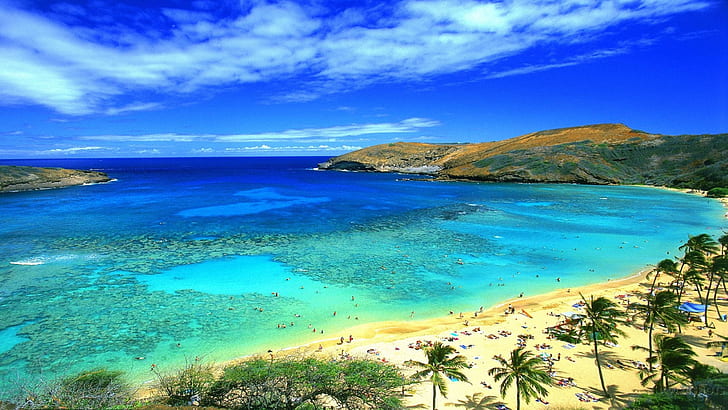 호놀룰루 하와이 해변 바탕 화면, HD 배경 화면