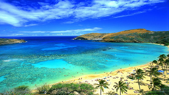 Honolulu Hawaii Beach Hintergrund, HD-Hintergrundbild HD wallpaper