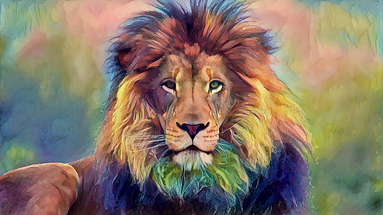 animals, lion, wildlife, HD wallpaper HD wallpaper