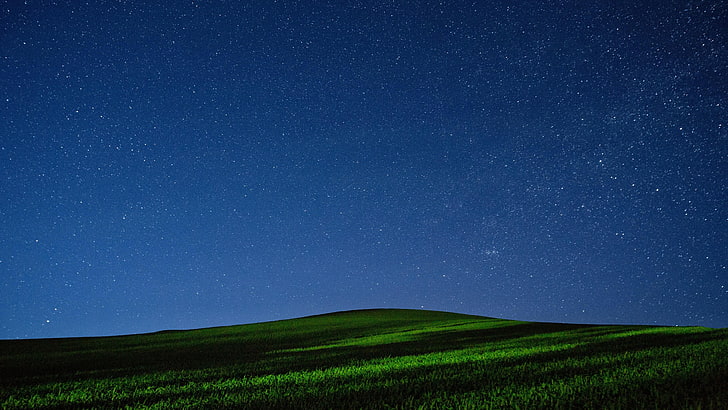 meadow, starry, starry night, night sky, night, field, sky, HD wallpaper