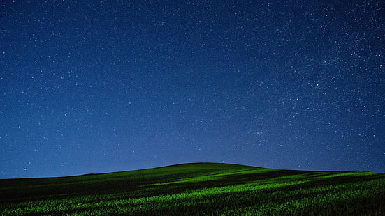 padang rumput, berbintang, malam berbintang, langit malam, malam, lapangan, langit, Wallpaper HD HD wallpaper