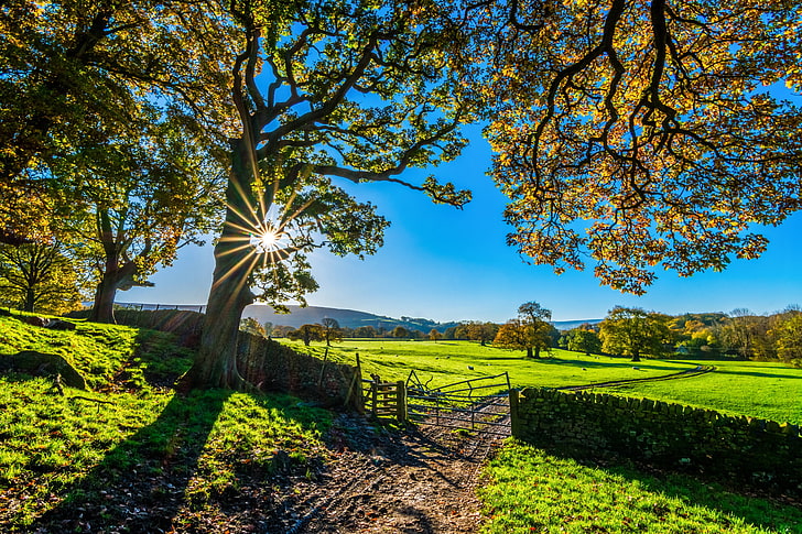 Sonnenlicht, Yorkshire, Sonnenschein, Morgen, Herbst, HD-Hintergrundbild
