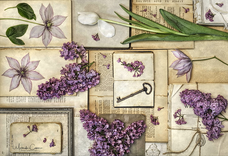 books, Tulip, key, vintage, lilac, clematis, herbarium, HD wallpaper