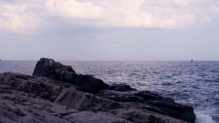 Kyle Larivee, sea, seagulls, buoy, coast, rock, waves, overcast, HD wallpaper