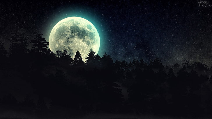 วอลล์เปเปอร์พระจันทร์เต็มดวง, กลางคืน, ดวงจันทร์, ป่า, ดวงดาว, ศิลปะจินตนาการ, อวกาศ, วอลล์เปเปอร์ HD