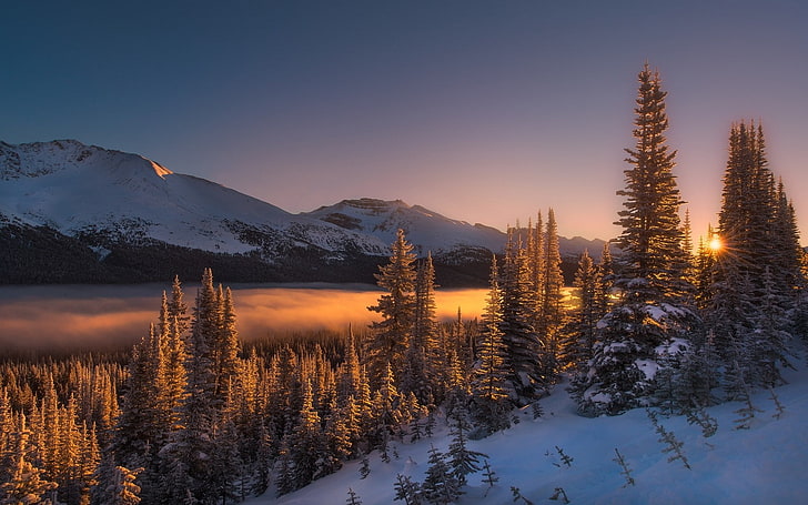 naturaleza, paisaje, invierno, niebla, montañas, bosque, nieve, árboles, mañana, luz solar, frío, Fondo de pantalla HD