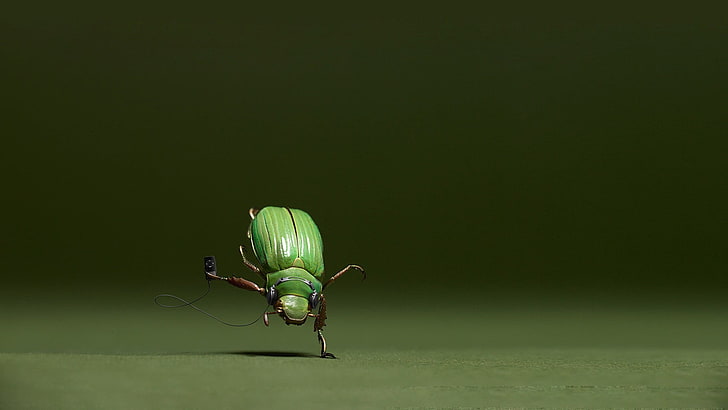 зеленый жук, зеленый, насекомое, макро, животные, цифровое искусство, юмор, HD обои