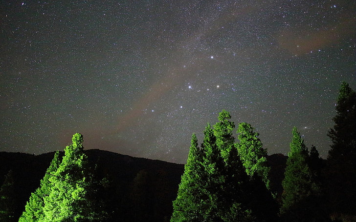 grüne Bäume, Novi Sad, Weltraum, Universum, Sterne, HD-Hintergrundbild