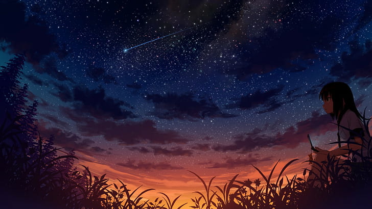 anime, gadis anime, langit, bintang, matahari terbenam, ponsel, Wallpaper HD