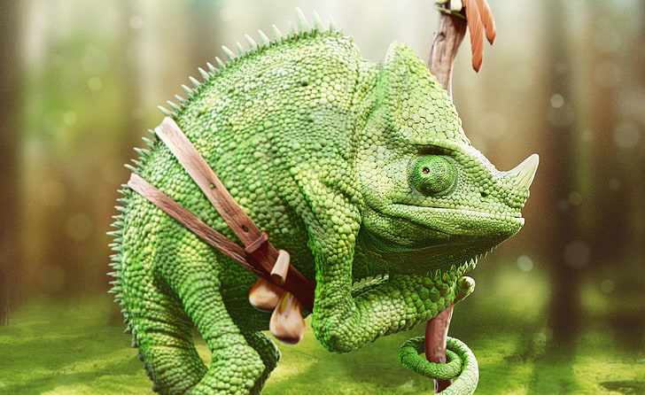 grünes Chamäleon, Chamäleons, Reptilien, Tiere, HD-Hintergrundbild