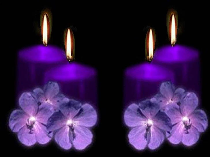 chamas velas roxas Vela luz fotografia abstrata HD Art, chamas, velas roxas, flores roxas, HD papel de parede