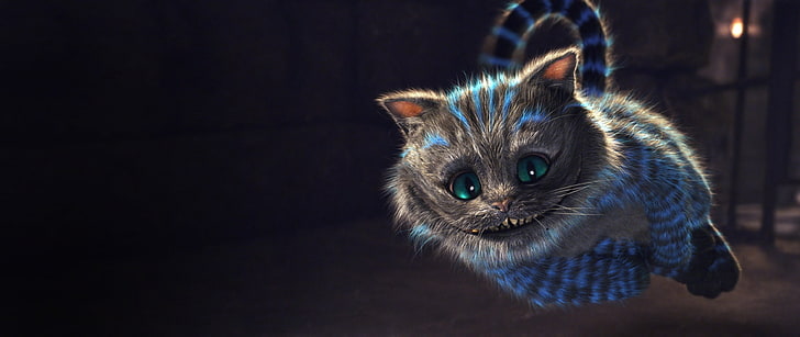 graues und blaues Kätzchen, Cheshire Cat, Katze, Alice im Wunderland, Wunderland, Lächeln, Pelz, Miezekatze, HD-Hintergrundbild