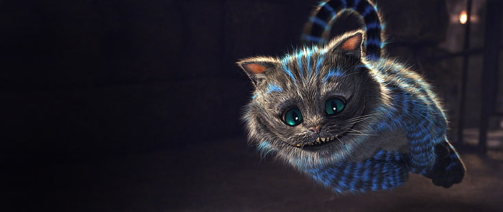 graues und blaues Kätzchen, Cheshire Cat, Katze, Alice im Wunderland, Wunderland, Lächeln, Pelz, Miezekatze, HD-Hintergrundbild HD wallpaper