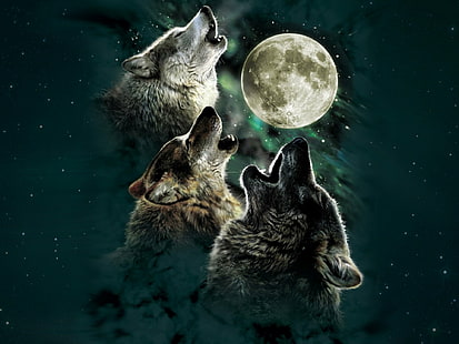 grafika, drapieżnik, wycie, księżyc, noc, drapieżnik, gwiazdy, wilk, wilki, Tapety HD HD wallpaper
