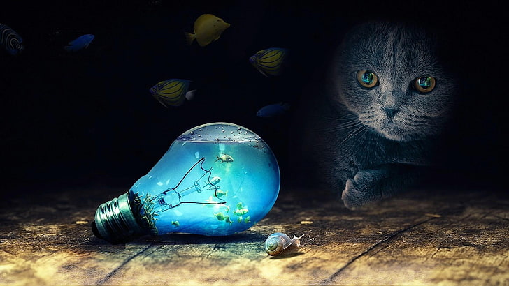 kucing, ilusi, membujuk, bohlam, bola lampu, ikan, siput, seni fantasi, imajinasi, kegelapan, kumis, Wallpaper HD